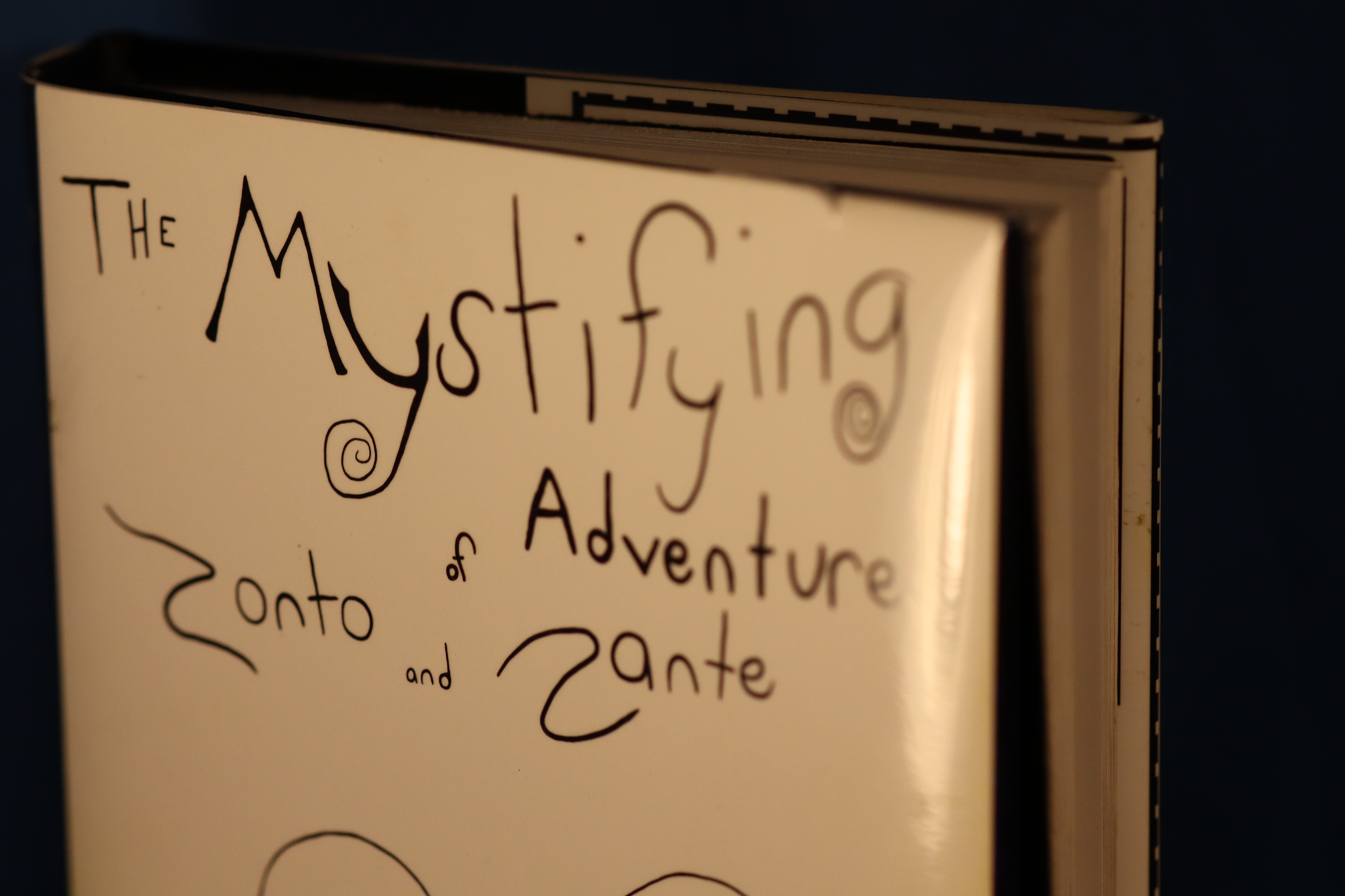 Description of image 5